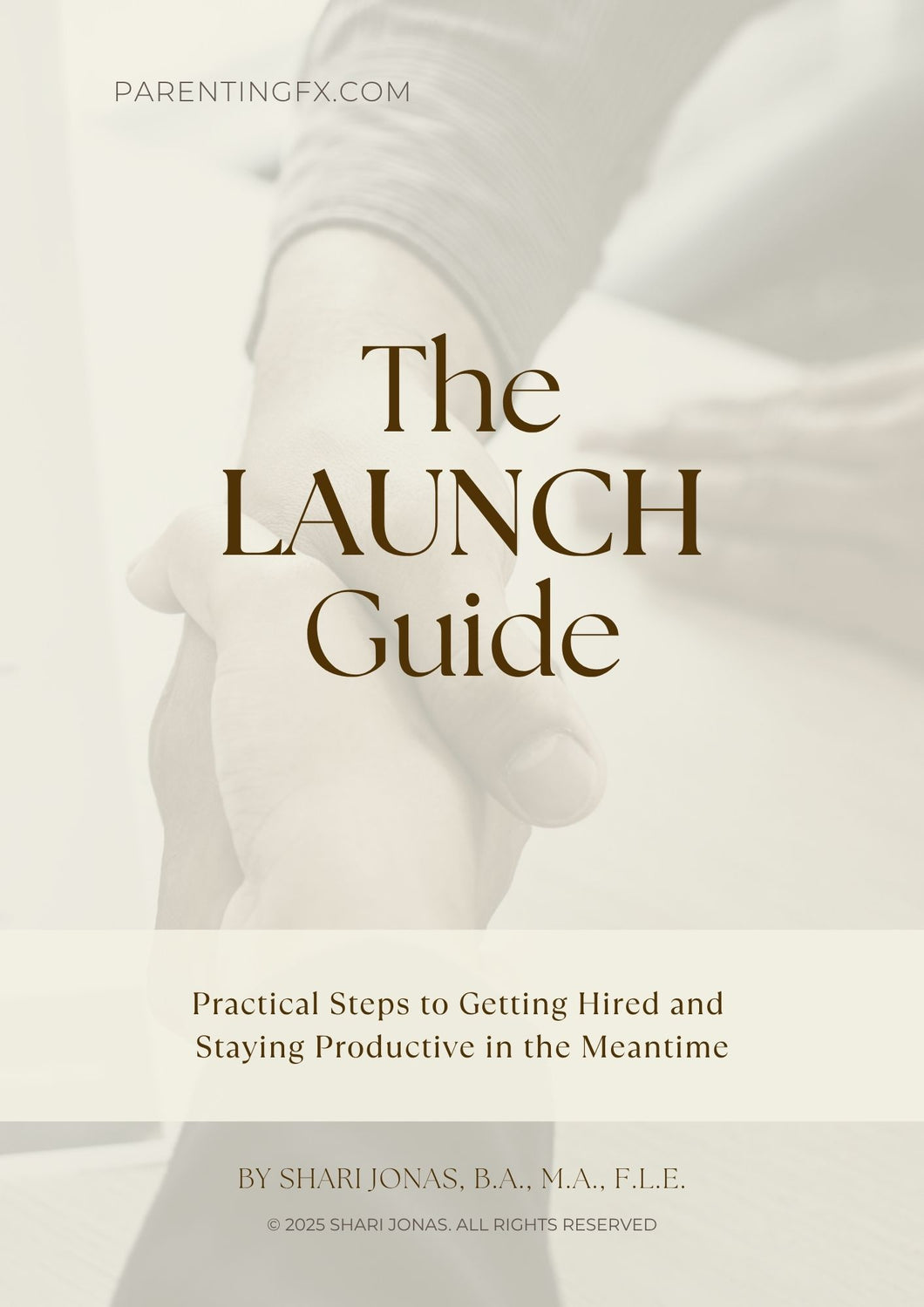 The LAUNCH Guide: Practical Steps to Getting Hired and Staying Productive in the Meantime